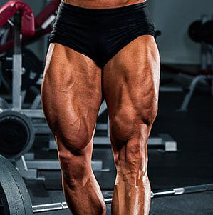 Tuesday/Thursday - Legs